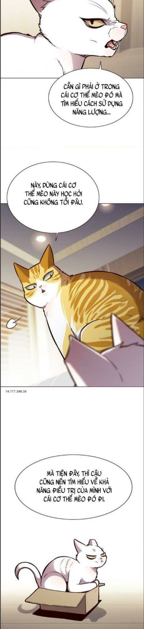 Tôi Chỉ Biết Làm Phim Dở Thôi Chapter 164 - Trang 2