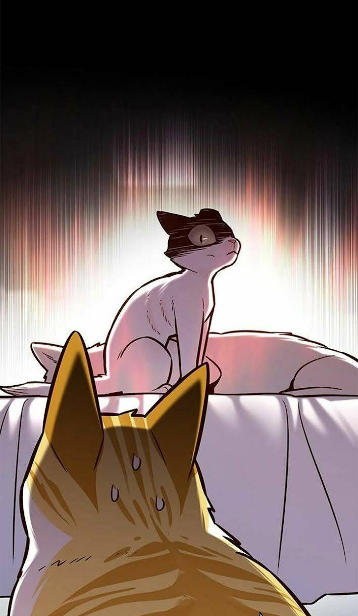 Tôi Chỉ Biết Làm Phim Dở Thôi Chapter 166 - Trang 2