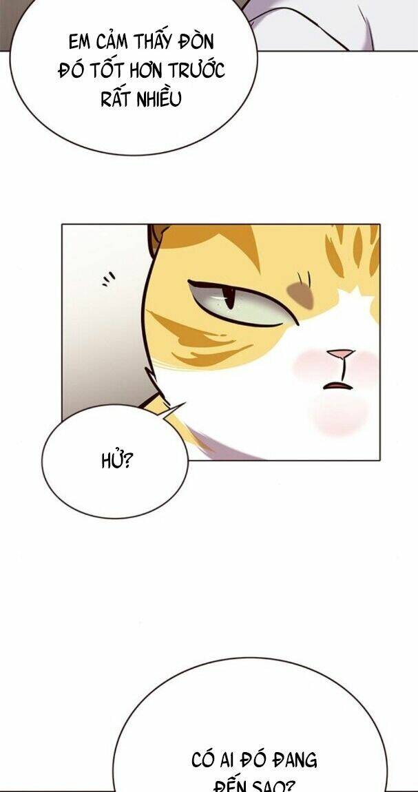 Tôi Chỉ Biết Làm Phim Dở Thôi Chapter 176 - Trang 2