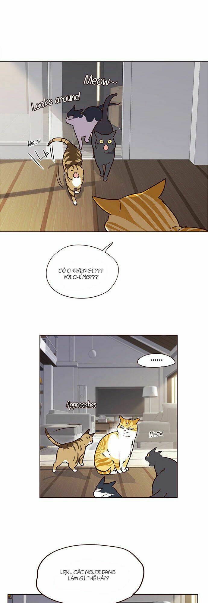 Tôi Chỉ Biết Làm Phim Dở Thôi Chapter 6 - Trang 2