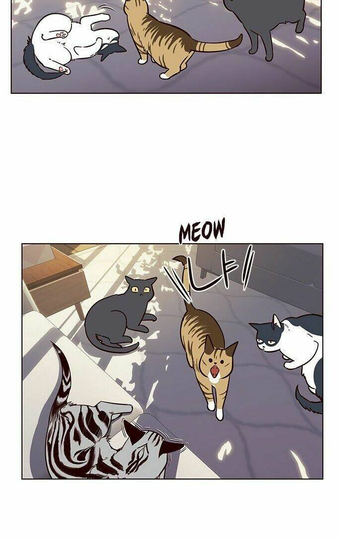 Tôi Chỉ Biết Làm Phim Dở Thôi Chapter 7 - Trang 2