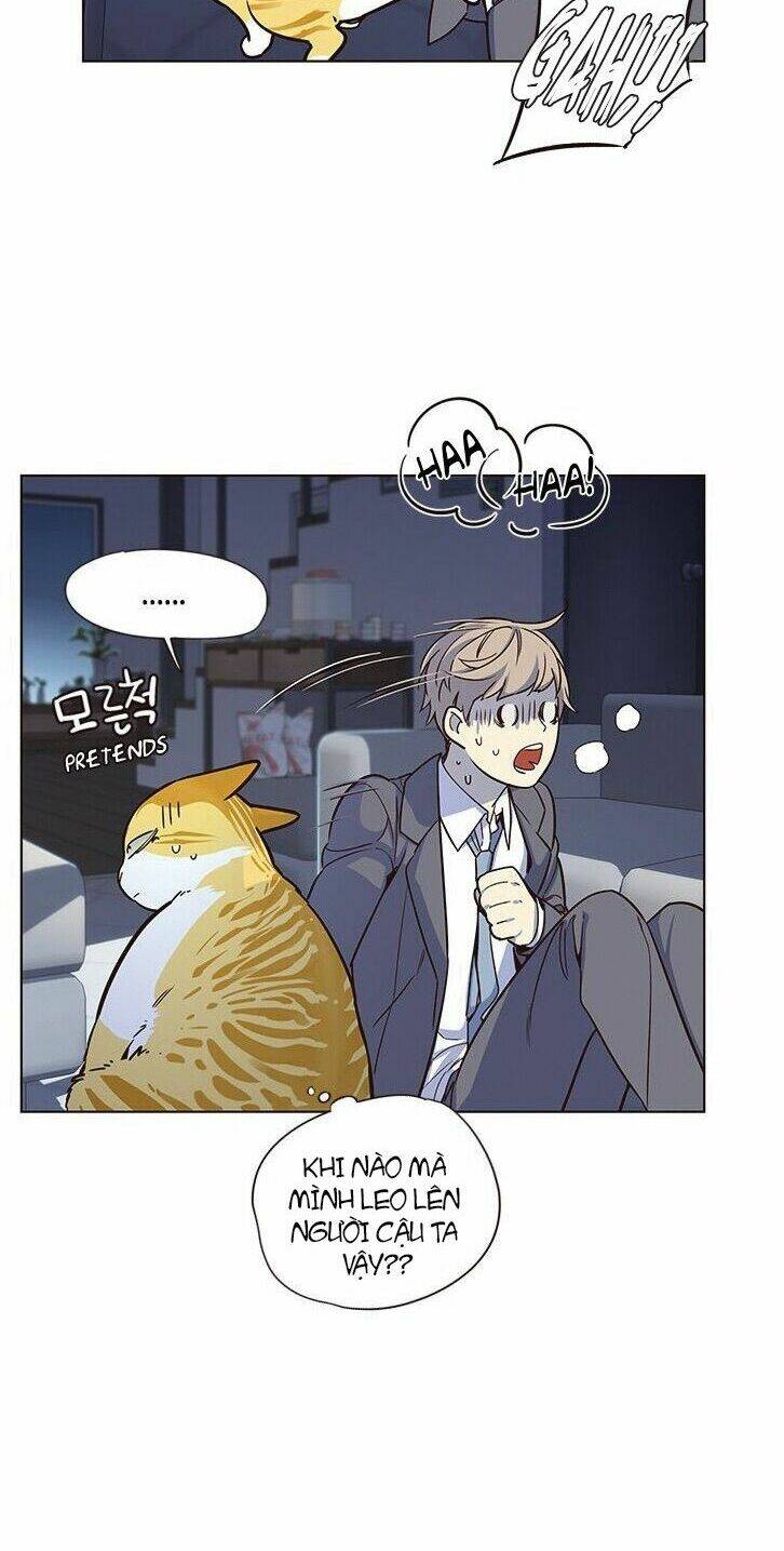 Tôi Chỉ Biết Làm Phim Dở Thôi Chapter 8 - Trang 2