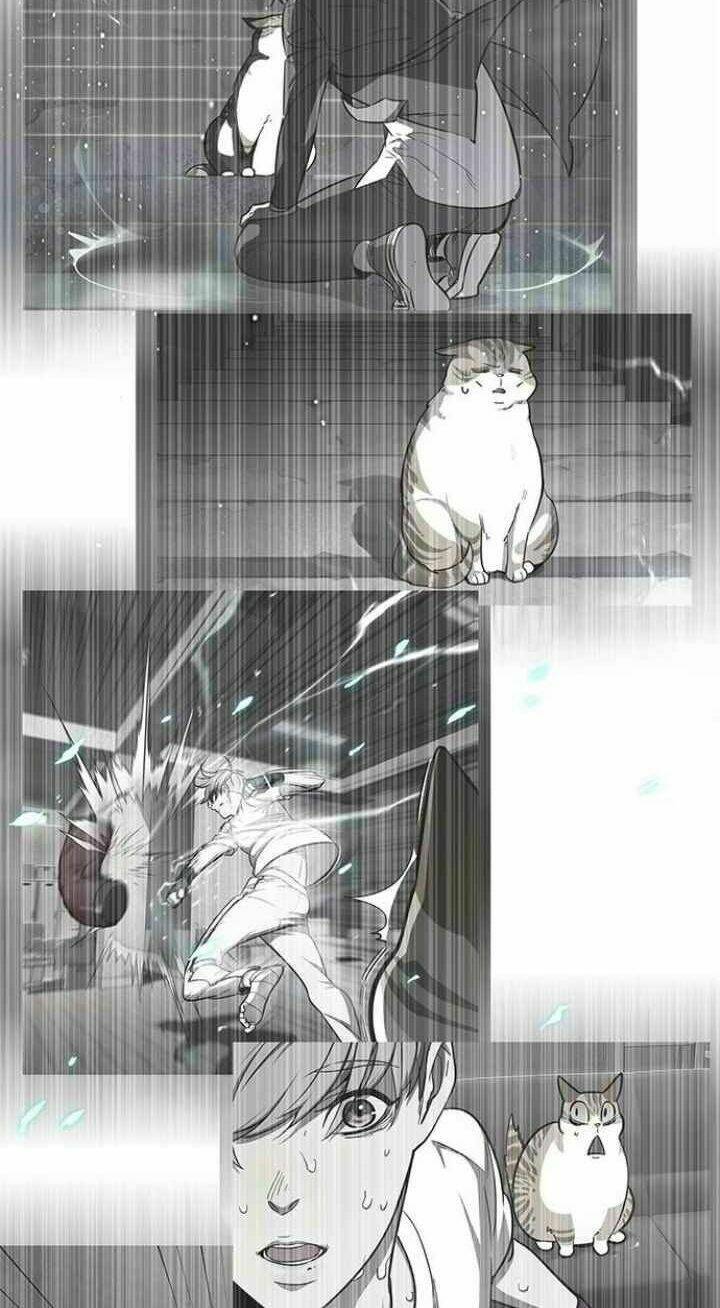 Tôi Chỉ Biết Làm Phim Dở Thôi Chapter 93 - Trang 2