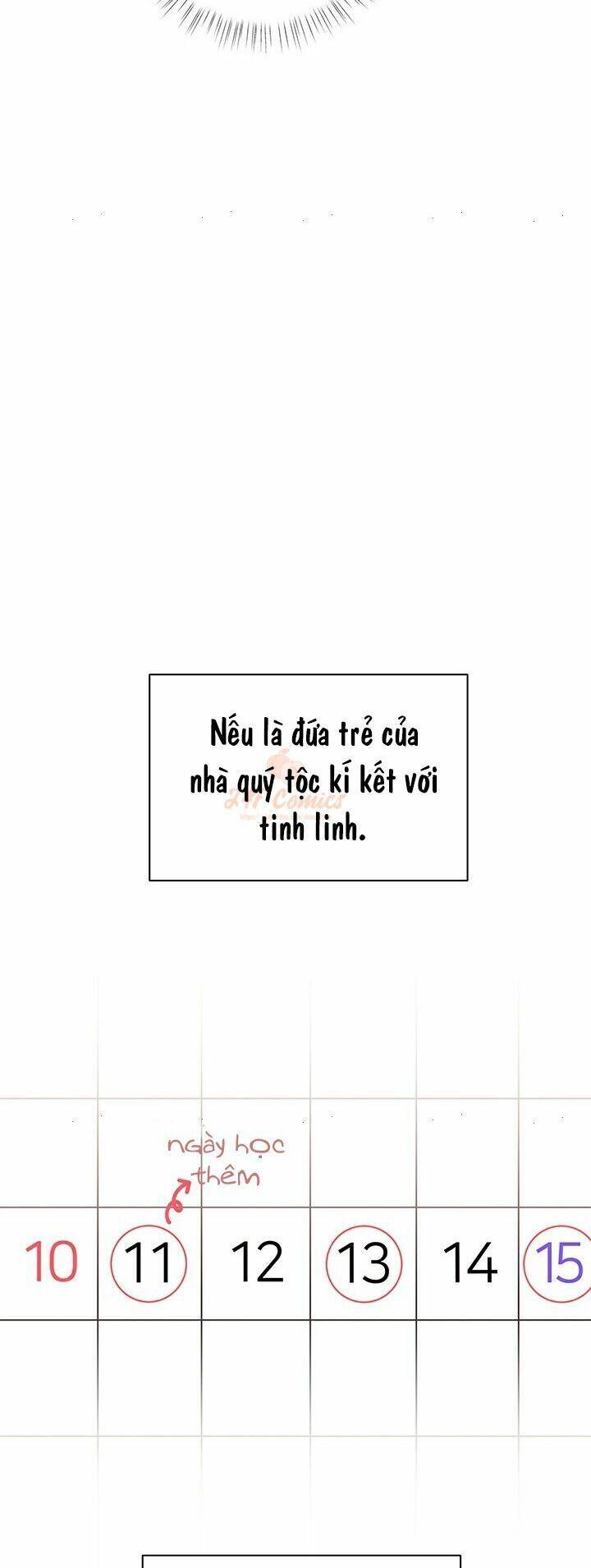 Tôi Chỉ Là Một Tiểu Thư Bình Thường Chapter 32 - Trang 2