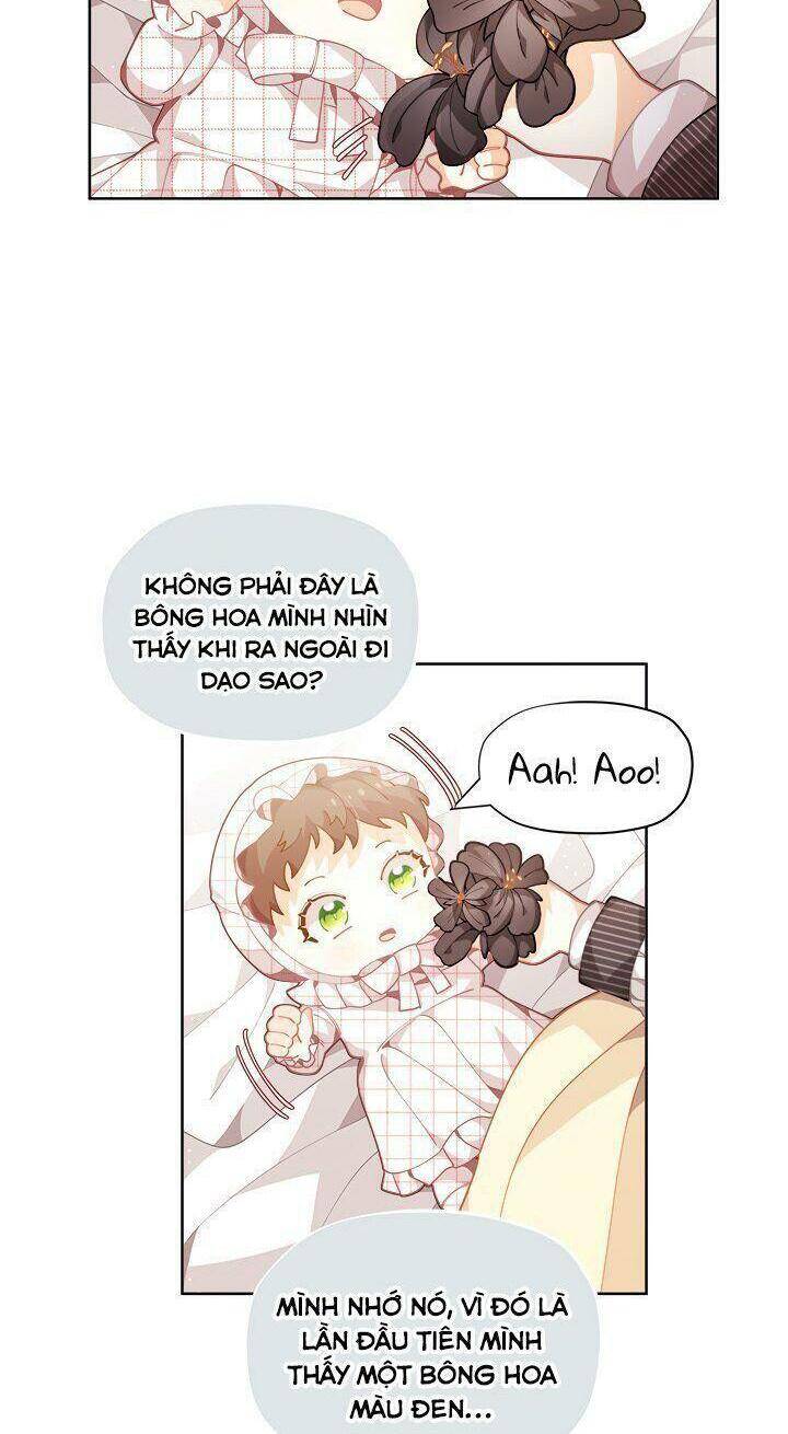 Tôi Chỉ Là Một Tiểu Thư Bình Thường Chapter 5 - Trang 2