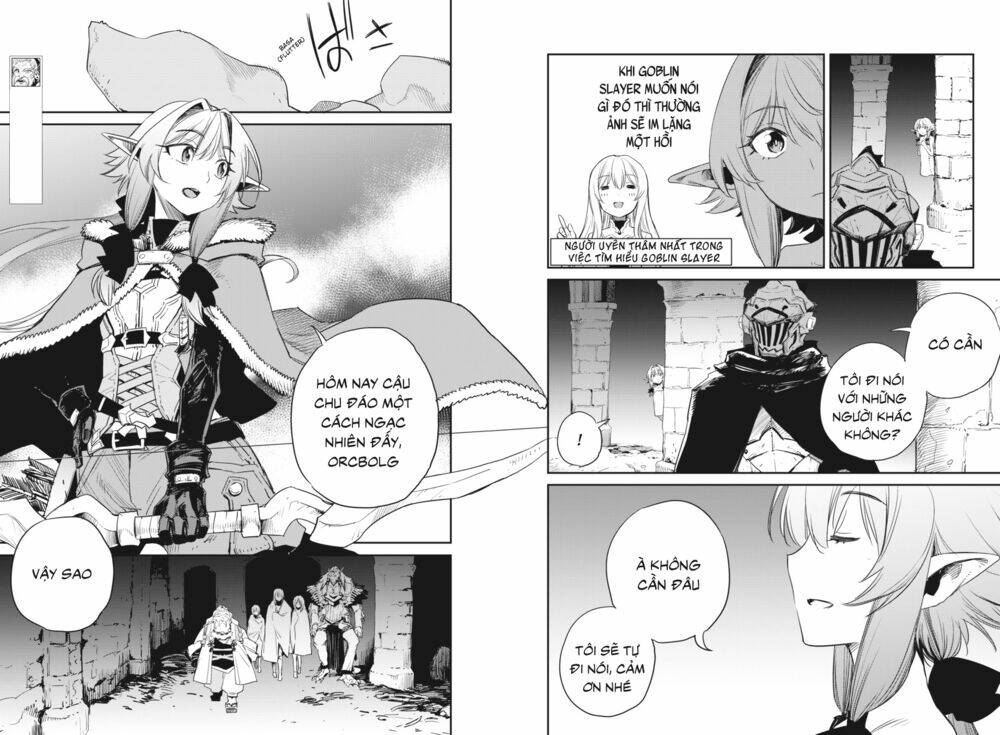 Tôi Chỉ Muốn Tiêu Diệt Goblin Chapter 48 - Trang 2