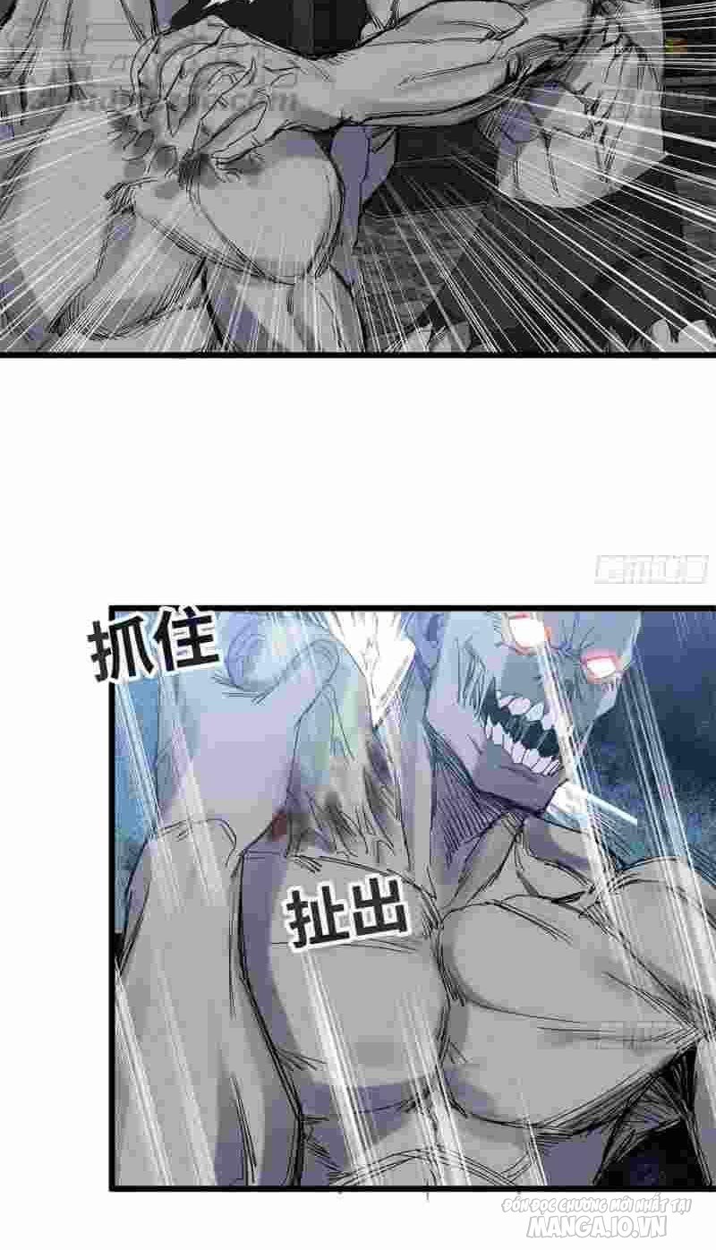 Tôi Chuyển Vàng Tại Mạt Thế Chapter 119 - Trang 2