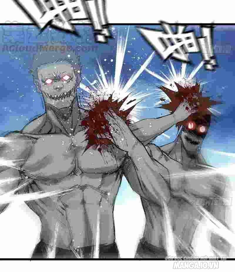 Tôi Chuyển Vàng Tại Mạt Thế Chapter 119 - Trang 2