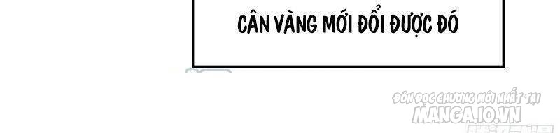 Tôi Chuyển Vàng Tại Mạt Thế Chapter 133 - Trang 2