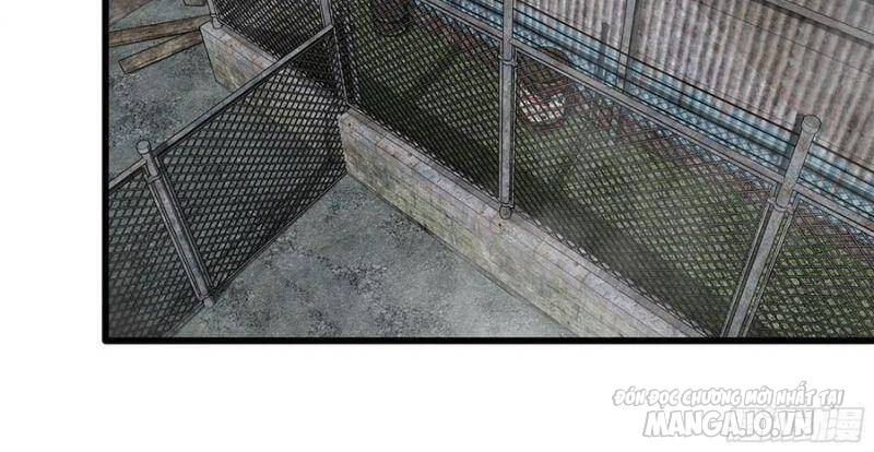 Tôi Chuyển Vàng Tại Mạt Thế Chapter 133 - Trang 2