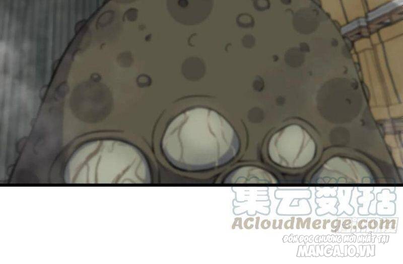 Tôi Chuyển Vàng Tại Mạt Thế Chapter 133 - Trang 2