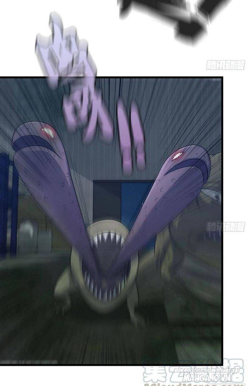 Tôi Chuyển Vàng Tại Mạt Thế Chapter 138 - Trang 2