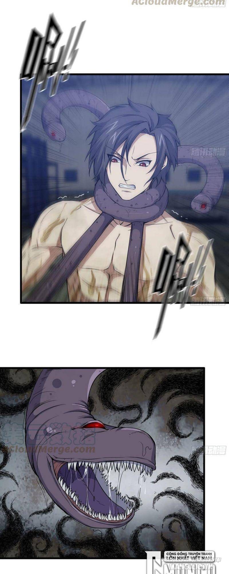 Tôi Chuyển Vàng Tại Mạt Thế Chapter 138 - Trang 2