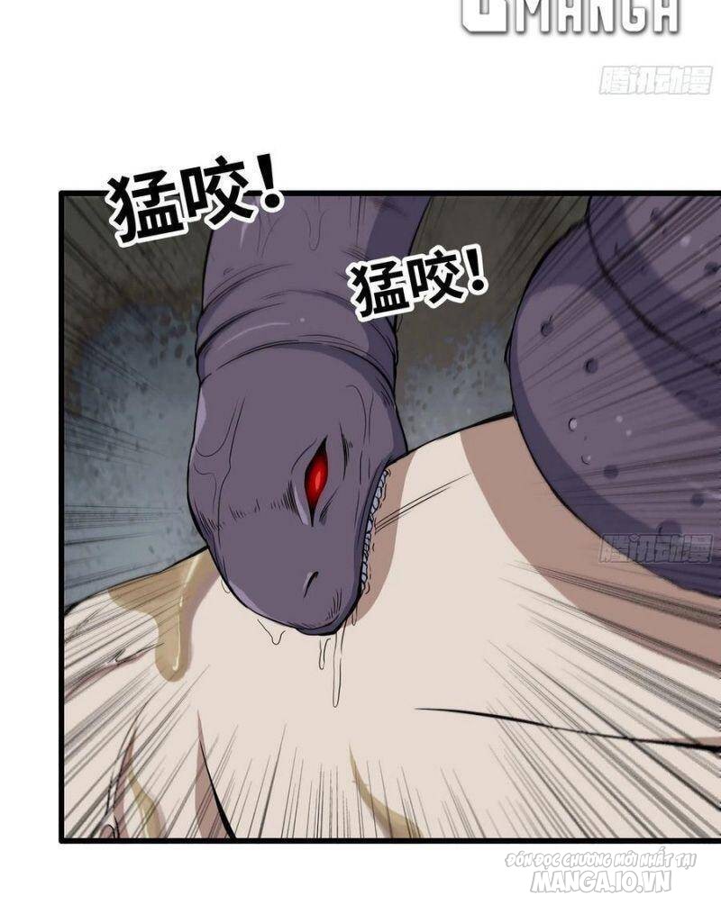 Tôi Chuyển Vàng Tại Mạt Thế Chapter 138 - Trang 2