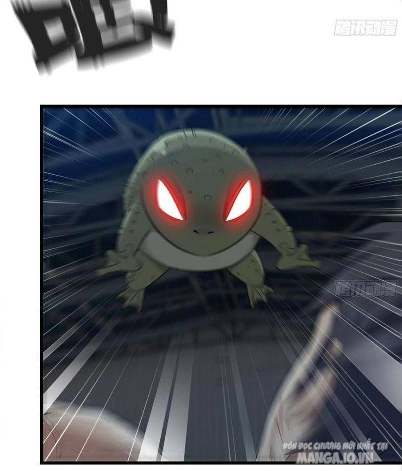 Tôi Chuyển Vàng Tại Mạt Thế Chapter 138 - Trang 2