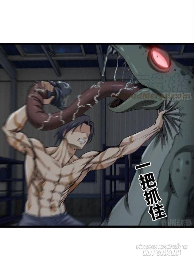 Tôi Chuyển Vàng Tại Mạt Thế Chapter 139 - Trang 2