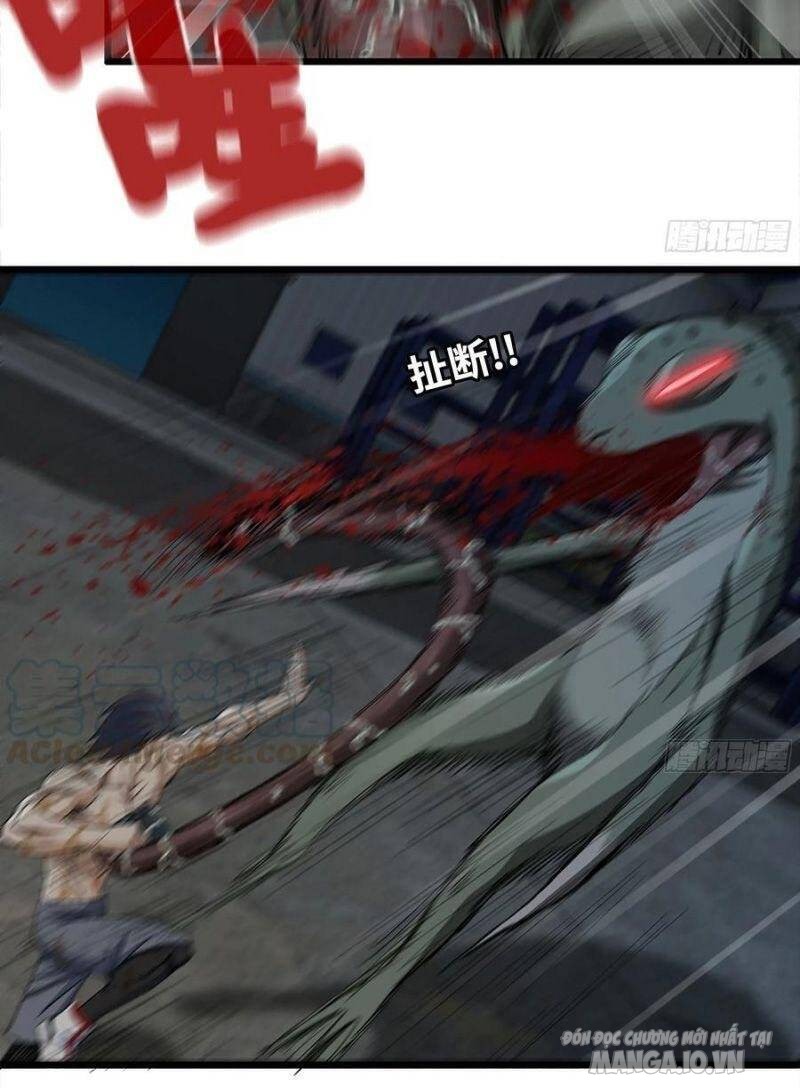 Tôi Chuyển Vàng Tại Mạt Thế Chapter 139 - Trang 2