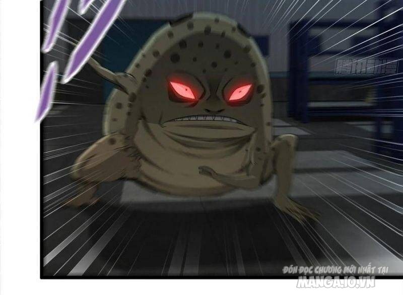 Tôi Chuyển Vàng Tại Mạt Thế Chapter 139 - Trang 2