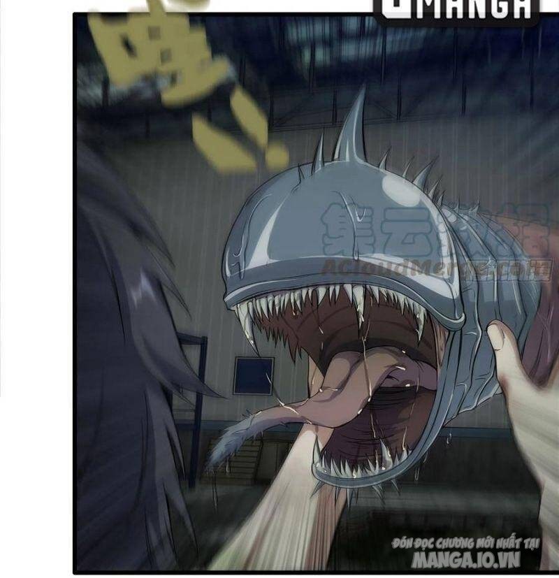 Tôi Chuyển Vàng Tại Mạt Thế Chapter 139 - Trang 2