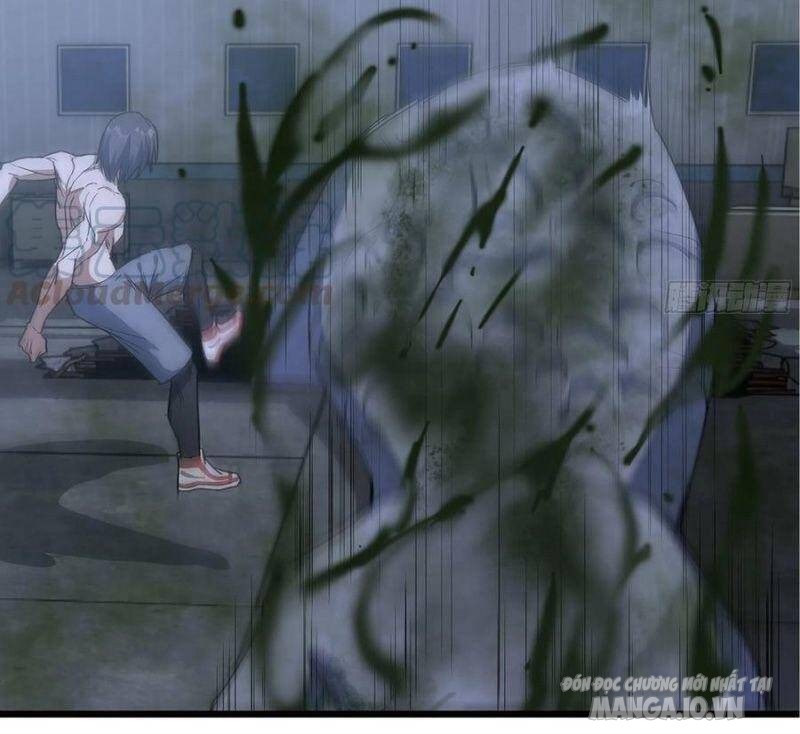 Tôi Chuyển Vàng Tại Mạt Thế Chapter 141 - Trang 2