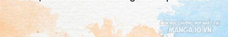 Tôi Chuyển Vàng Tại Mạt Thế Chapter 141 - Trang 2