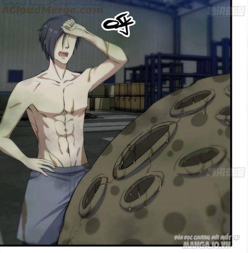 Tôi Chuyển Vàng Tại Mạt Thế Chapter 141 - Trang 2