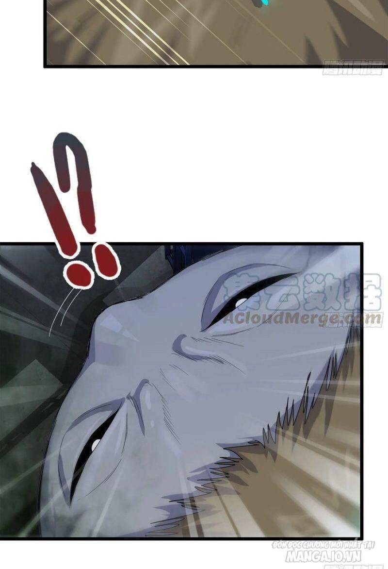 Tôi Chuyển Vàng Tại Mạt Thế Chapter 143 - Trang 2