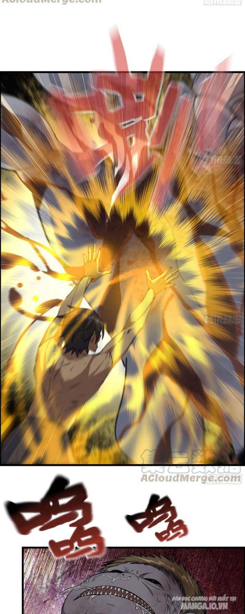 Tôi Chuyển Vàng Tại Mạt Thế Chapter 145 - Trang 2