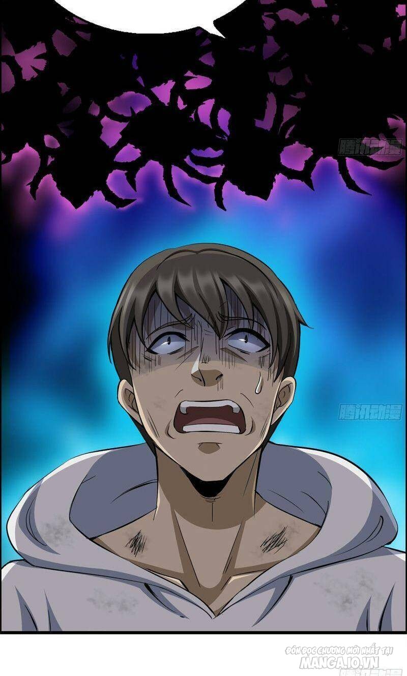 Tôi Chuyển Vàng Tại Mạt Thế Chapter 179 - Trang 2