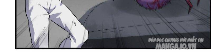 Tôi Chuyển Vàng Tại Mạt Thế Chapter 191 - Trang 2