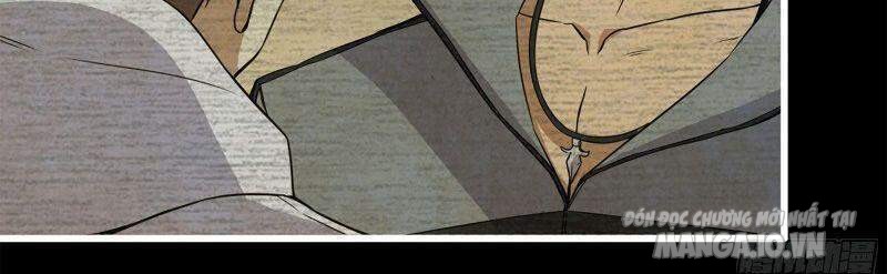 Tôi Chuyển Vàng Tại Mạt Thế Chapter 194 - Trang 2