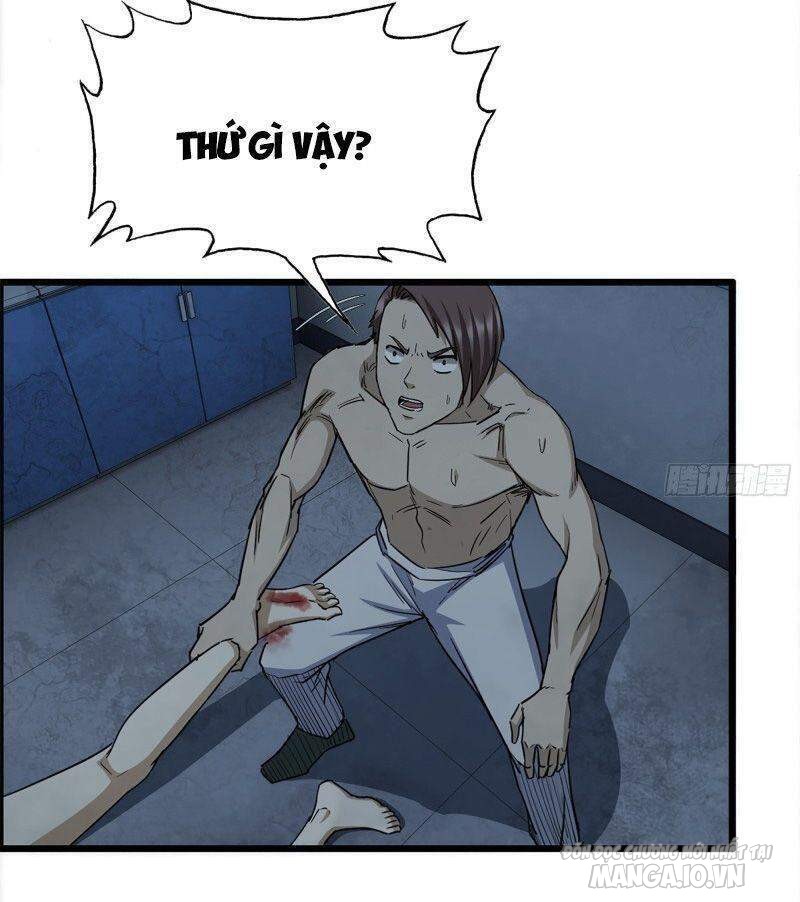 Tôi Chuyển Vàng Tại Mạt Thế Chapter 194 - Trang 2