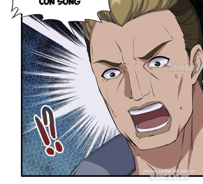 Tôi Chuyển Vàng Tại Mạt Thế Chapter 197 - Trang 2