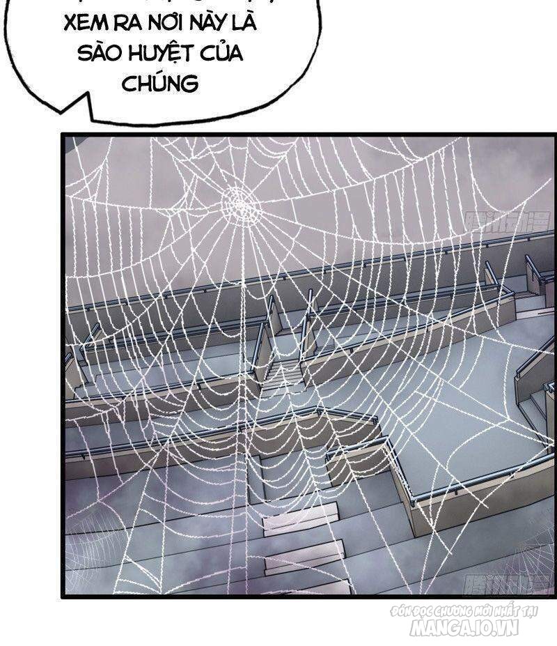 Tôi Chuyển Vàng Tại Mạt Thế Chapter 197 - Trang 2