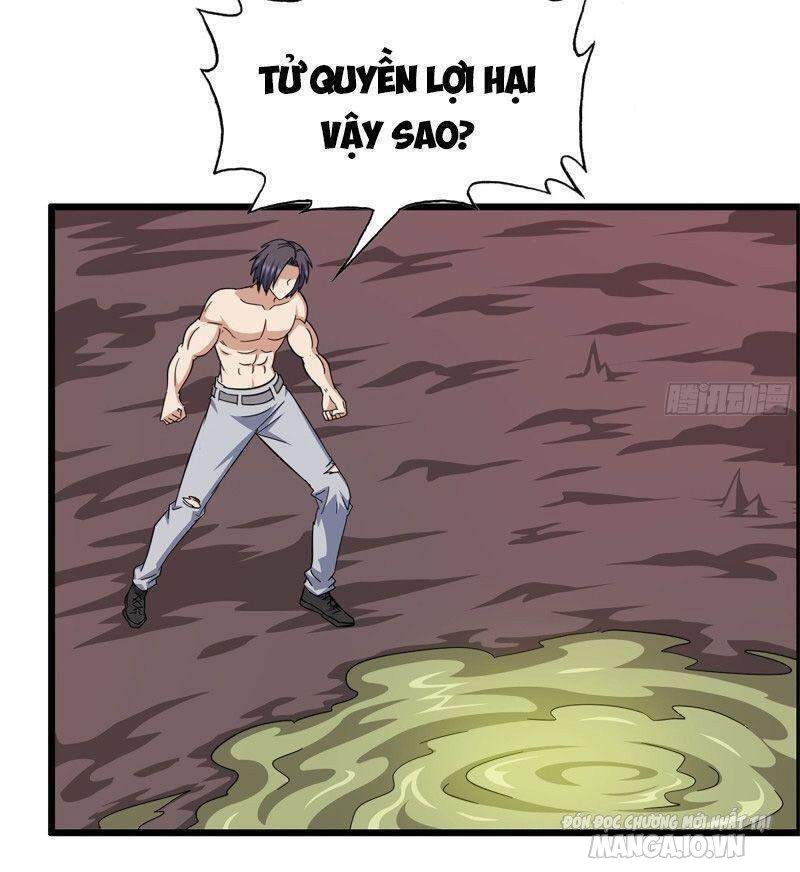 Tôi Chuyển Vàng Tại Mạt Thế Chapter 201 - Trang 2