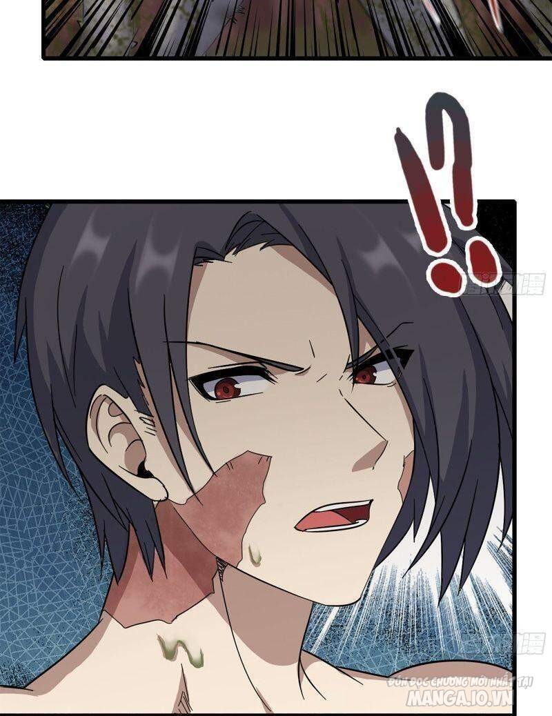 Tôi Chuyển Vàng Tại Mạt Thế Chapter 201 - Trang 2