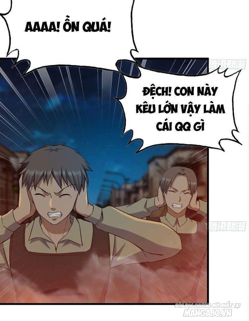 Tôi Chuyển Vàng Tại Mạt Thế Chapter 207 - Trang 2