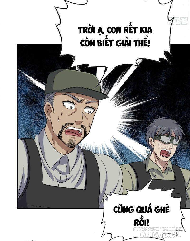 Tôi Chuyển Vàng Tại Mạt Thế Chapter 207 - Trang 2