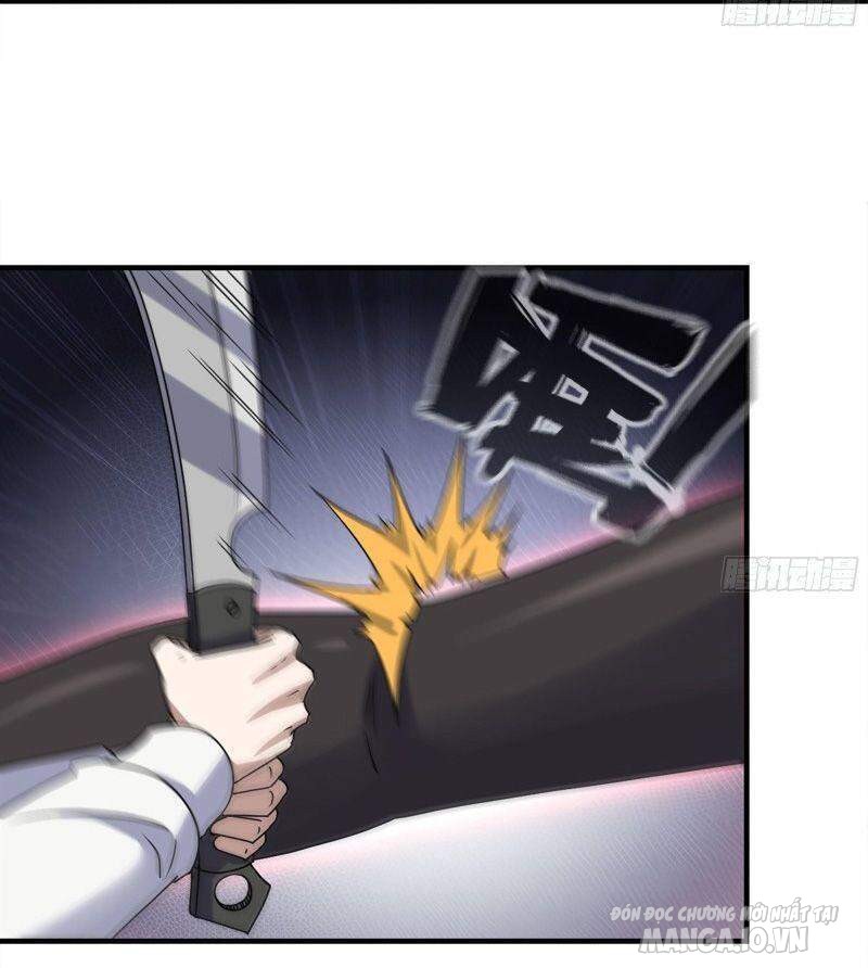 Tôi Chuyển Vàng Tại Mạt Thế Chapter 212 - Trang 2