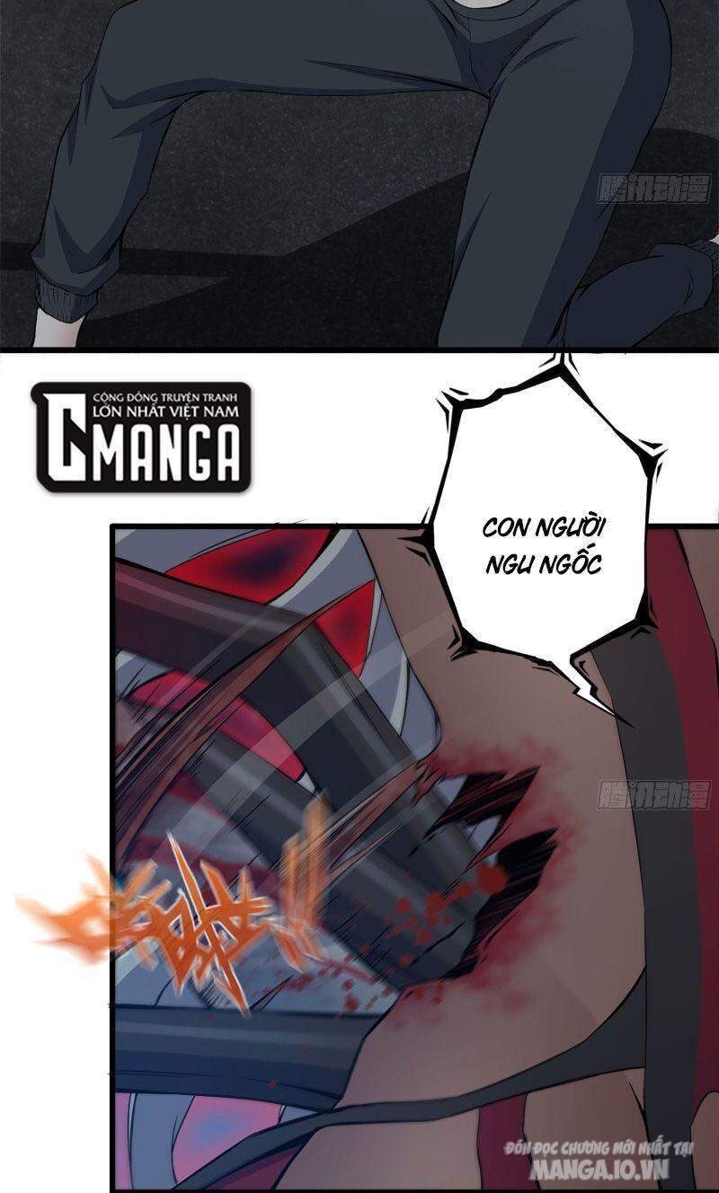 Tôi Chuyển Vàng Tại Mạt Thế Chapter 212 - Trang 2