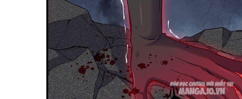 Tôi Chuyển Vàng Tại Mạt Thế Chapter 214 - Trang 2