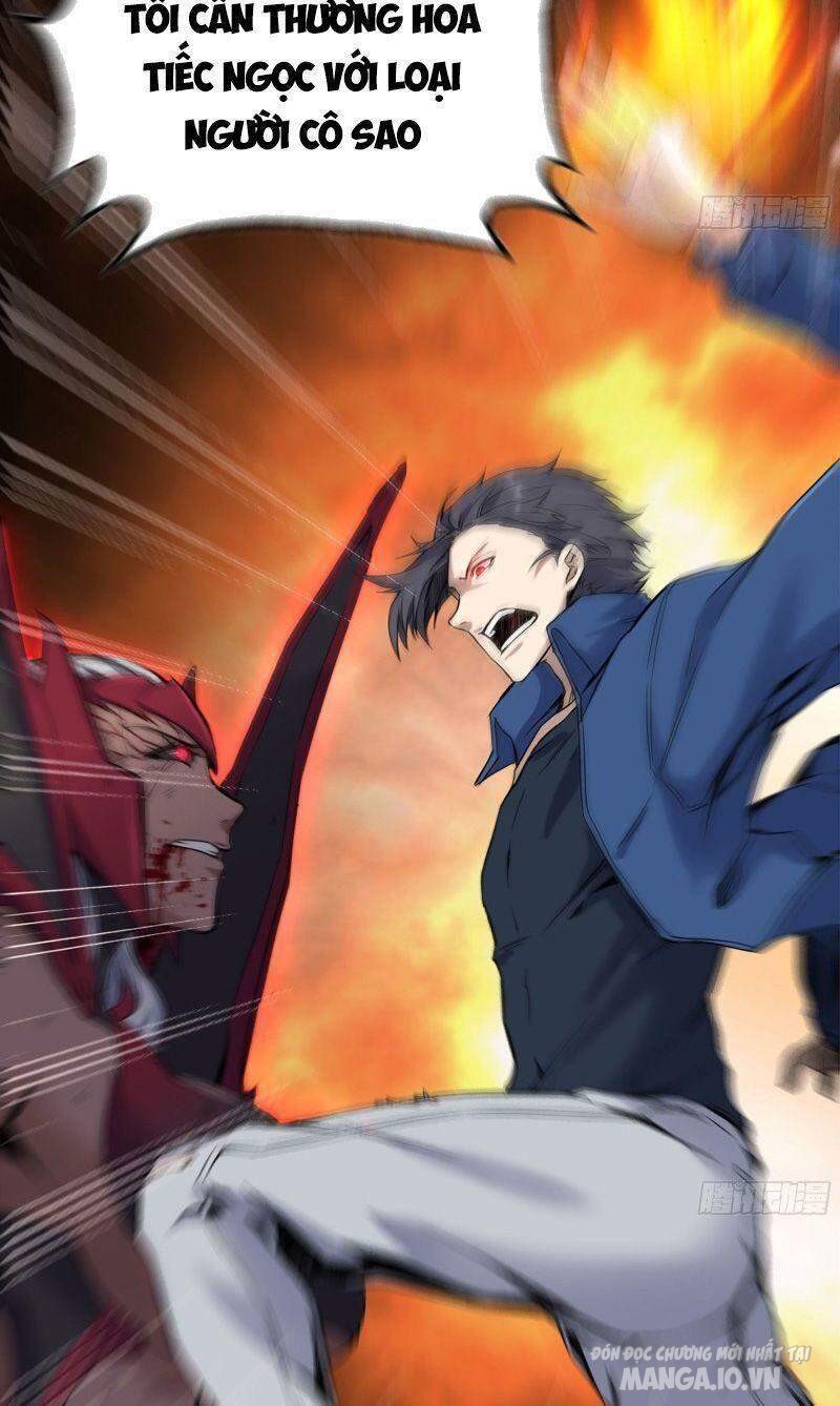 Tôi Chuyển Vàng Tại Mạt Thế Chapter 214 - Trang 2