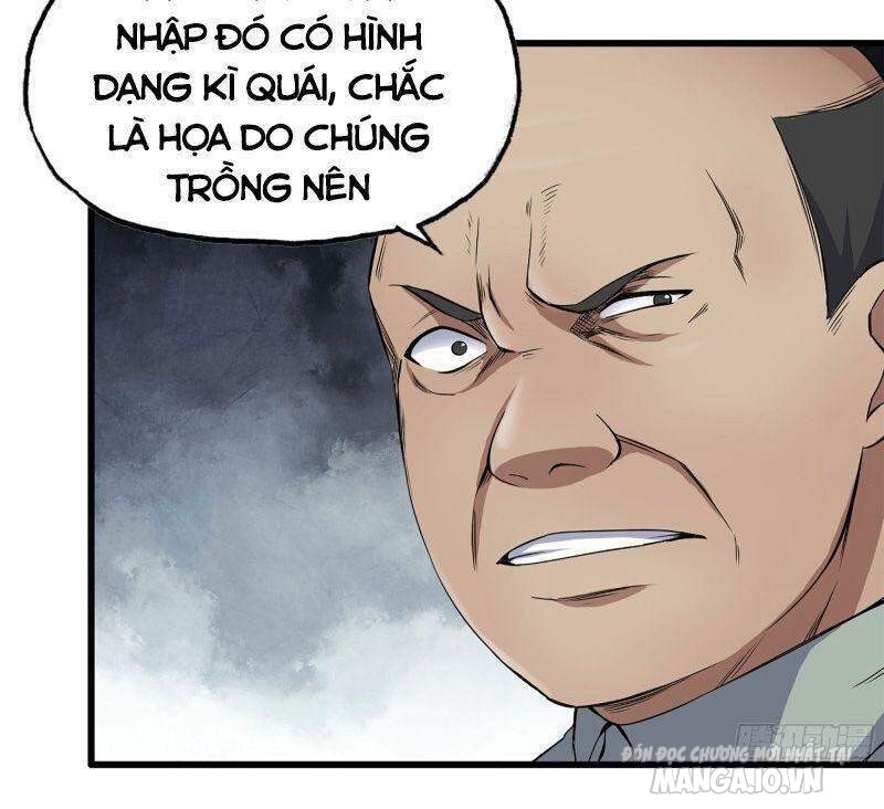 Tôi Chuyển Vàng Tại Mạt Thế Chapter 219 - Trang 2