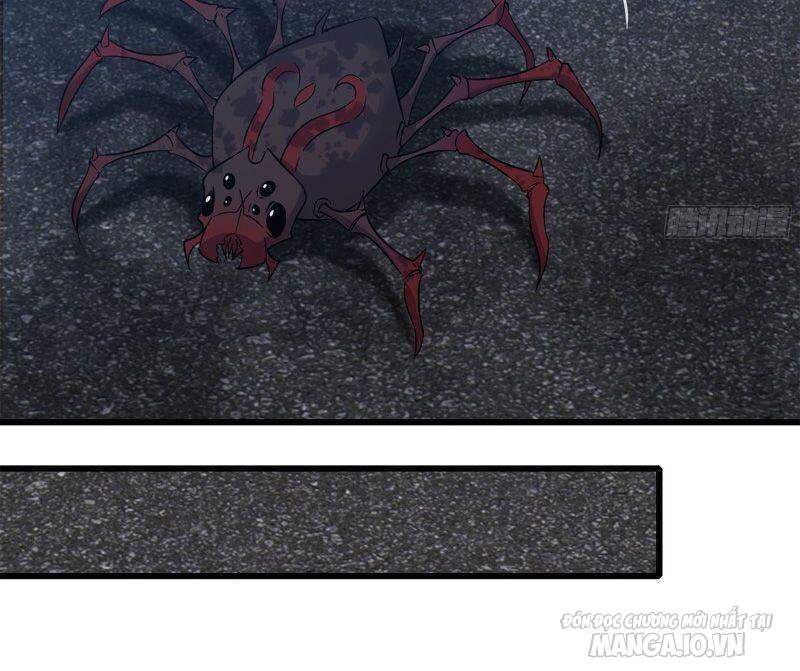 Tôi Chuyển Vàng Tại Mạt Thế Chapter 220 - Trang 2