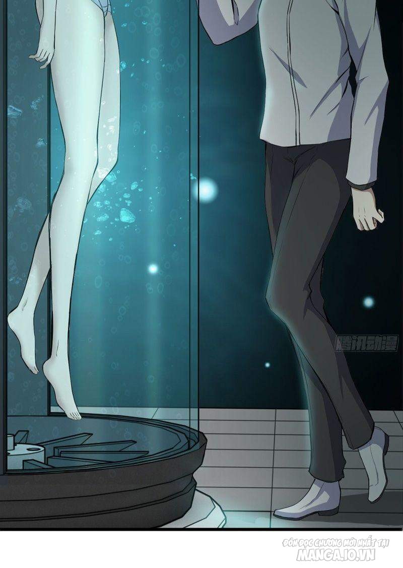 Tôi Chuyển Vàng Tại Mạt Thế Chapter 231 - Trang 2