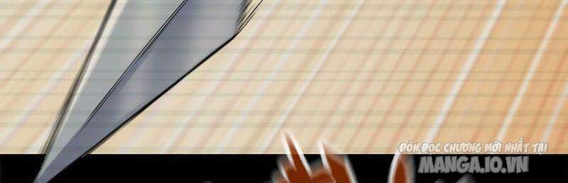 Tôi Chuyển Vàng Tại Mạt Thế Chapter 231 - Trang 2