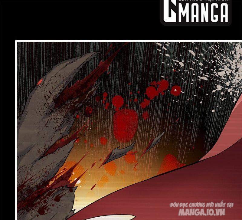 Tôi Chuyển Vàng Tại Mạt Thế Chapter 231 - Trang 2