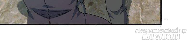 Tôi Chuyển Vàng Tại Mạt Thế Chapter 238 - Trang 2