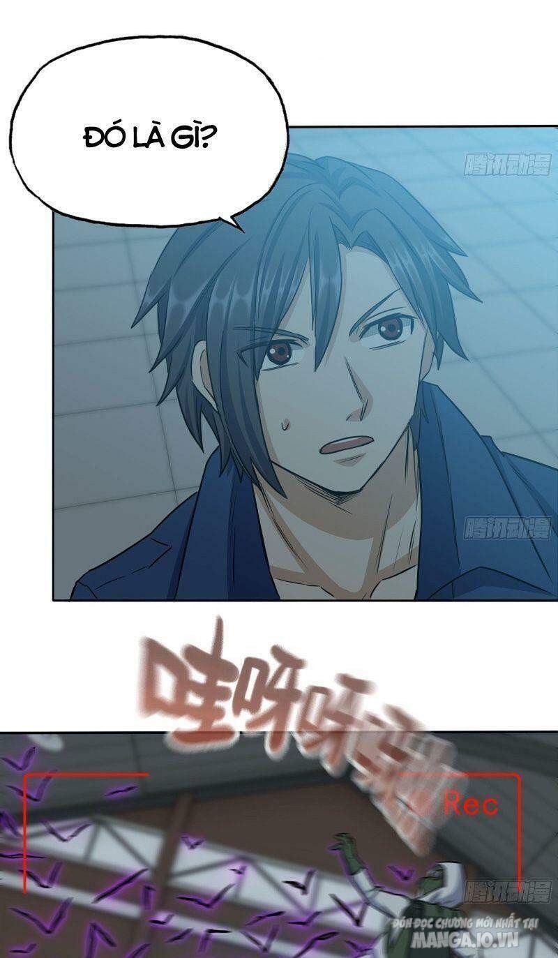 Tôi Chuyển Vàng Tại Mạt Thế Chapter 246 - Trang 2