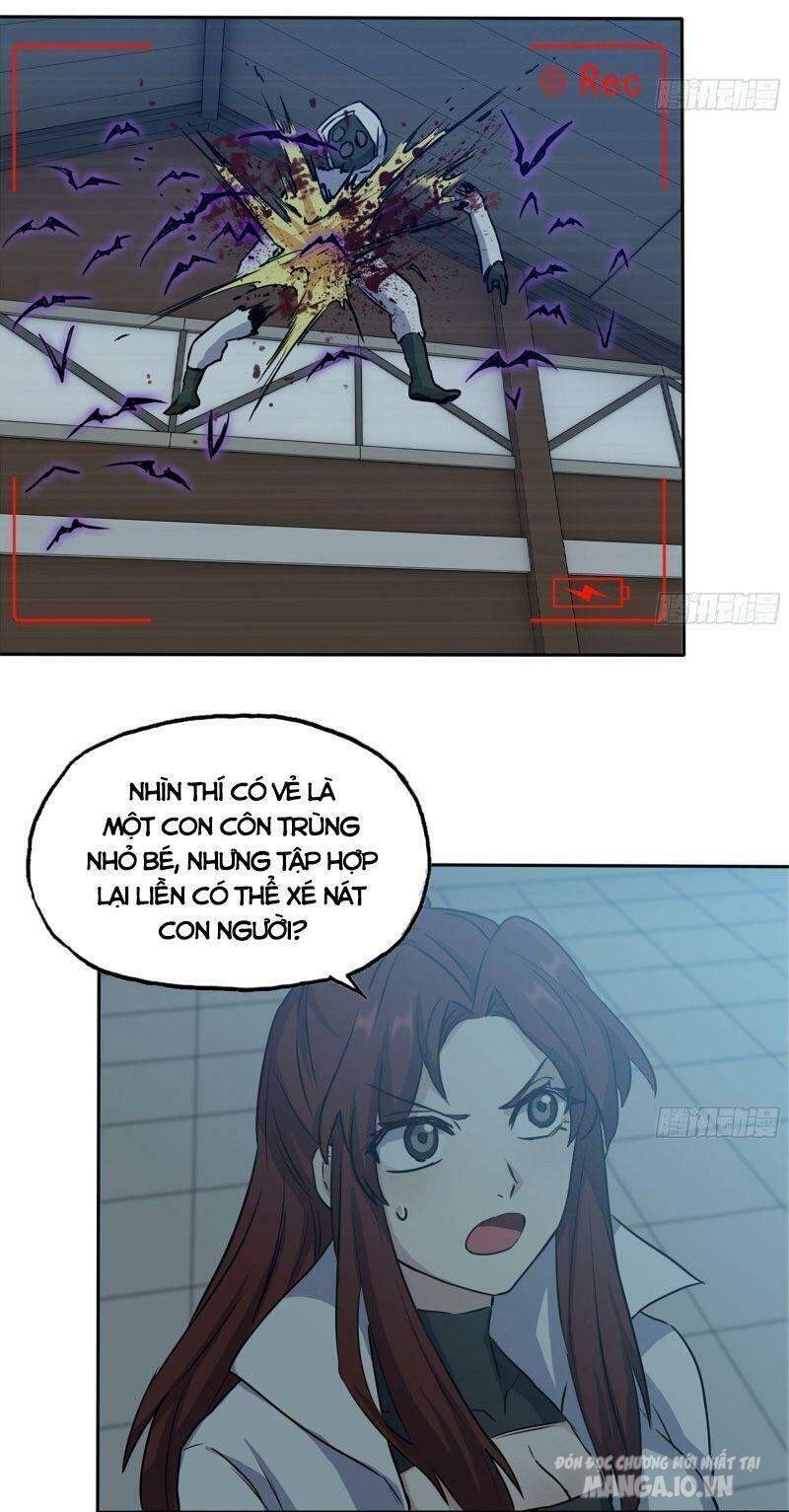 Tôi Chuyển Vàng Tại Mạt Thế Chapter 246 - Trang 2